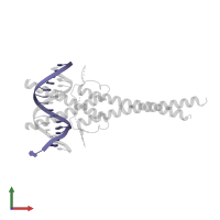 DNA (5'-D(*GP*GP*GP*CP*AP*CP*AP*CP*AP*TP*GP*AP*TP*CP*T)-3') in PDB entry 7f2f, assembly 1, front view.