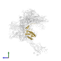 Putative RNA polymerase II subunit B1 CTD phosphatase RPAP2 in PDB entry 7f4g, assembly 1, side view.