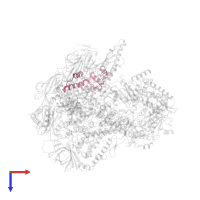 RNA polymerase Rpb4/RPC9 core domain-containing protein in PDB entry 7f4g, assembly 1, top view.