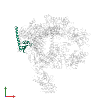 DNA-directed RNA polymerase RBP11-like dimerisation domain-containing protein in PDB entry 7f4g, assembly 1, front view.