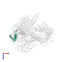 DNA-directed RNA polymerase RBP11-like dimerisation domain-containing protein in PDB entry 7f4g, assembly 1, top view.