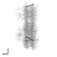 Unknown protein in PDB entry 7f4v, assembly 1, side view.