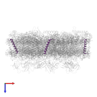 Unknown protein in PDB entry 7f4v, assembly 1, top view.