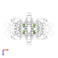 GAMMA-L-GLUTAMIC ACID in PDB entry 7f5x, assembly 1, top view.