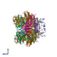 Hetero dodecameric assembly 1 of PDB entry 7f64 coloured by chemically distinct molecules, side view.