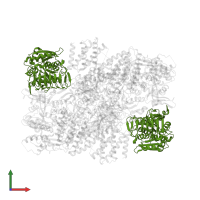 Translation initiation factor eIF2B subunit epsilon in PDB entry 7f64, assembly 1, front view.