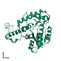 Monomeric assembly 2 of PDB entry 7f8g coloured by chemically distinct molecules, front view.