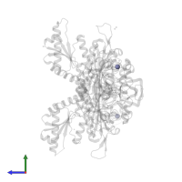 ZINC ION in PDB entry 7f9c, assembly 1, side view.