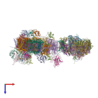 PDB entry 7f9o coloured by chain, top view.