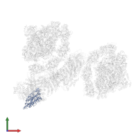 NAD(P)H-quinone oxidoreductase subunit H, chloroplastic in PDB entry 7f9o, assembly 1, front view.