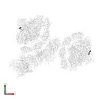 Photosystem I reaction center subunit VIII in PDB entry 7f9o, assembly 1, front view.