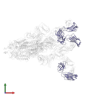 P36-5D2 light chain in PDB entry 7faf, assembly 1, front view.