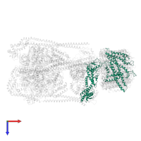 V-type proton ATPase subunit a, vacuolar isoform in PDB entry 7fdc, assembly 1, top view.