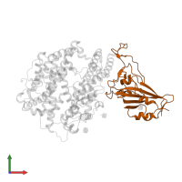 Spike protein S1 in PDB entry 7fdi, assembly 1, front view.