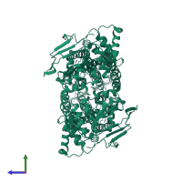 ATP-binding cassette sub-family G member 1 in PDB entry 7fdv, assembly 1, side view.