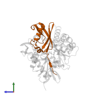 FAS-associated factor 1 in PDB entry 7fgm, assembly 1, side view.