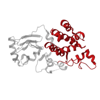 The deposited structure of PDB entry 7fks contains 1 copy of Pfam domain PF05282 (AAR2 C-terminal repeat region) in A1 cistron-splicing factor AAR2. Showing 1 copy in chain B.