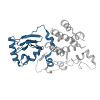 The deposited structure of PDB entry 7fks contains 1 copy of Pfam domain PF20981 (AAR2 N-terminal domain) in A1 cistron-splicing factor AAR2. Showing 1 copy in chain B.