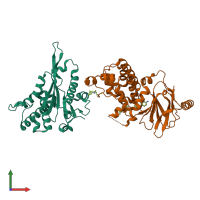 Hetero dimeric assembly 1 of PDB entry 7fn1 coloured by chemically distinct molecules, front view.