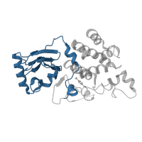 The deposited structure of PDB entry 7fnv contains 1 copy of Pfam domain PF20981 (AAR2 N-terminal domain) in A1 cistron-splicing factor AAR2. Showing 1 copy in chain B.