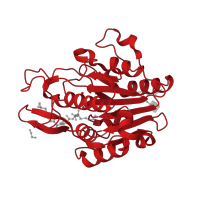 The deposited structure of PDB entry 7fqh contains 3 copies of Pfam domain PF01650 (Peptidase C13 family) in Legumain. Showing 1 copy in chain A.
