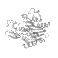 The deposited structure of PDB entry 7fqh contains 3 copies of Pfam domain PF20985 (Legumain, prodomain) in Legumain. Showing 1 copy in chain A (this domain is out of the observed residue ranges!).