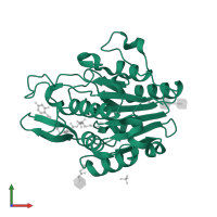 Legumain in PDB entry 7fql, assembly 5, front view.