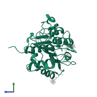 Legumain in PDB entry 7fql, assembly 5, side view.