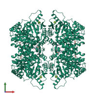 Homo tetrameric assembly 1 of PDB entry 7fsd coloured by chemically distinct molecules, front view.