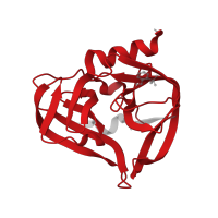 The deposited structure of PDB entry 7gou contains 2 copies of Pfam domain PF00548 (3C cysteine protease (picornain 3C)) in Protease 3C. Showing 1 copy in chain A.
