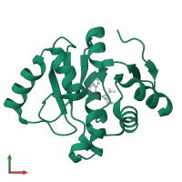 Papain-like protease nsp3 in PDB entry 7gz2, assembly 1, front view.