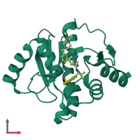 PDB entry 7h0t coloured by chain, front view.