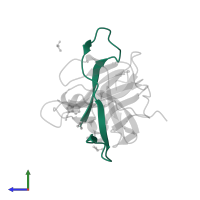 Serine protease subunit NS2B in PDB entry 7h25, assembly 1, side view.