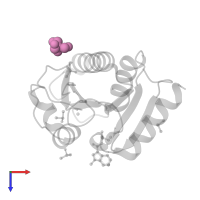 2-AMINO-2-HYDROXYMETHYL-PROPANE-1,3-DIOL in PDB entry 7h6j, assembly 1, top view.