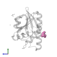 2-AMINO-2-HYDROXYMETHYL-PROPANE-1,3-DIOL in PDB entry 7h93, assembly 1, side view.