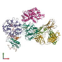 PDB entry 7jhg coloured by chain, front view.