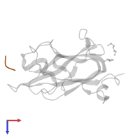 Spike protein S1 in PDB entry 7jjc, assembly 4, top view.