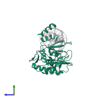 DNA-directed primase/polymerase protein in PDB entry 7jkp, assembly 1, side view.