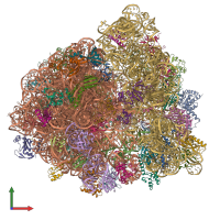 PDB entry 7jt3 coloured by chain, front view.