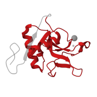 The deposited structure of PDB entry 7jug contains 1 copy of Pfam domain PF00059 (Lectin C-type domain) in Macrophage mannose receptor 1. Showing 1 copy in chain A.