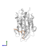 Large ribosomal subunit protein bL27 in PDB entry 7jvs, assembly 1, side view.