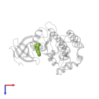 (3S)-1-[1-(2-aminopyrimidin-4-yl)-1H-pyrazolo[4,3-c]pyridin-6-yl]-3-methylpent-1-yn-3-ol in PDB entry 7jxy, assembly 1, top view.