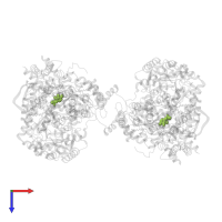 PYRIDOXAL-5'-PHOSPHATE in PDB entry 7k0o, assembly 1, top view.