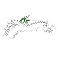 The deposited structure of PDB entry 7k1s contains 3 copies of Pfam domain PF17417 (Herpesvirus Glycoprotein B PH-like domain) in Envelope glycoprotein B. Showing 1 copy in chain A.