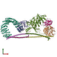 PDB entry 7k36 coloured by chain, front view.