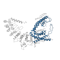 The deposited structure of PDB entry 7k4b contains 4 copies of Pfam domain PF00520 (Ion transport protein) in Transient receptor potential cation channel subfamily V member 6. Showing 1 copy in chain A.