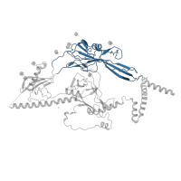 The deposited structure of PDB entry 7kdp contains 3 copies of Pfam domain PF17416 (Herpesvirus Glycoprotein B) in Envelope glycoprotein B. Showing 1 copy in chain A.