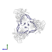 GP2 in PDB entry 7kfh, assembly 1, side view.