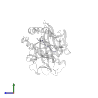 Nucleoprotein in PDB entry 7kgr, assembly 1, side view.