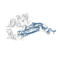 The deposited structure of PDB entry 7kip contains 3 copies of Pfam domain PF01601 ( Coronavirus spike glycoprotein S2) in Spike glycoprotein. Showing 1 copy in chain A.